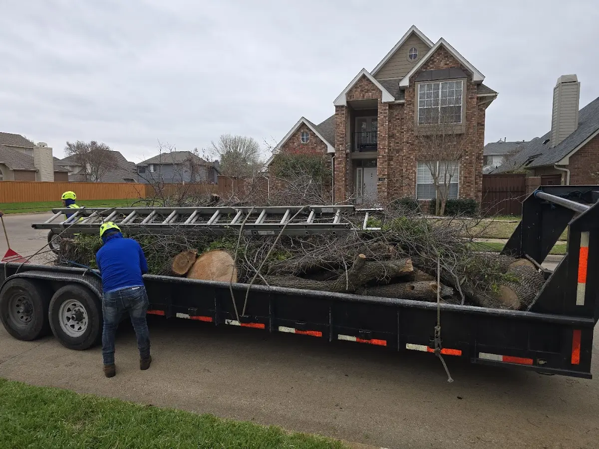 Expert Tree Pest Control with proper safety equipment in Portland